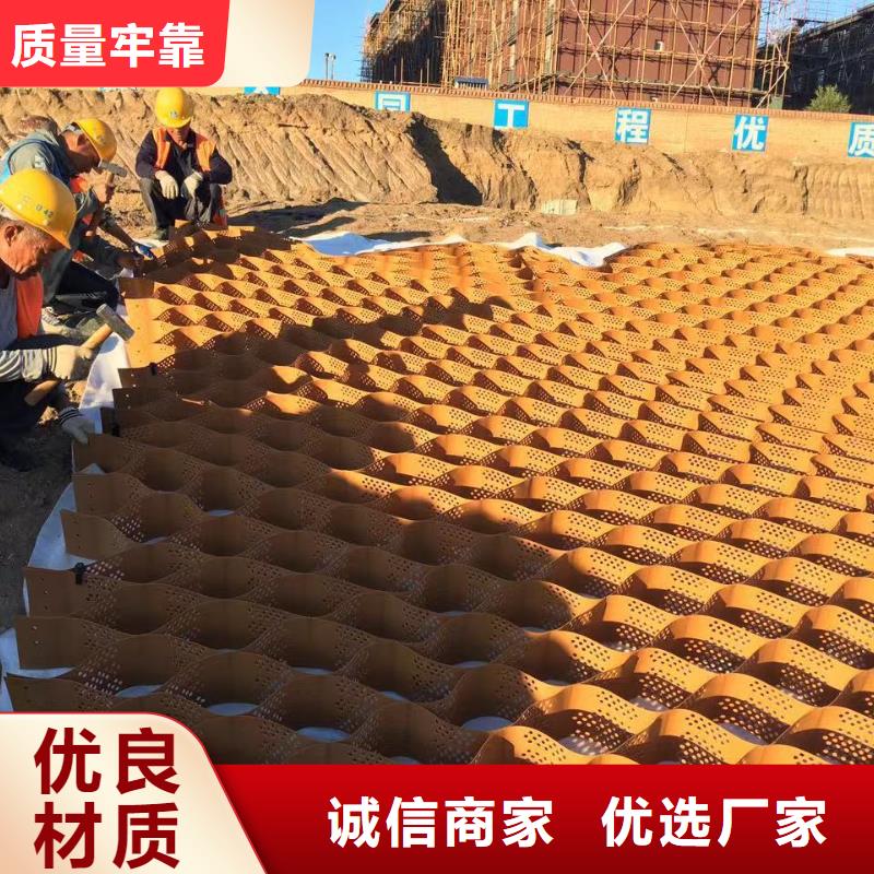 蜂巢格室玻璃纤维土工格栅工艺精细质保长久