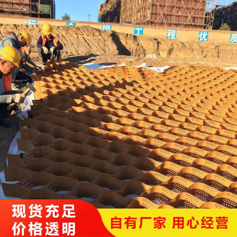 蜂巢格室玻璃纤维土工格栅工艺精细质保长久