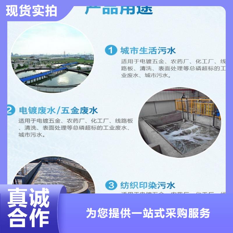 潮州反硝化菌生产