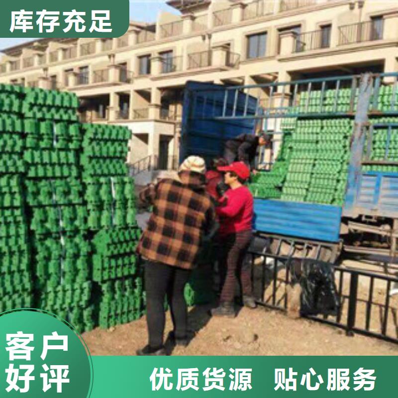 环保植草格_蓄排水板厂家多种工艺
