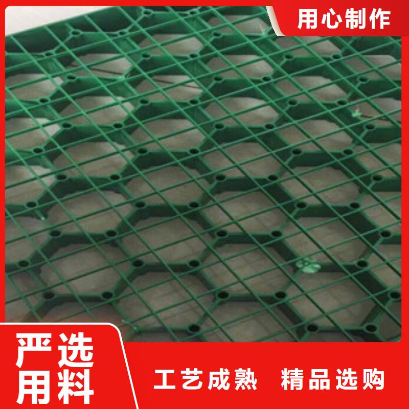 环保植草格_蓄排水板厂家多种工艺