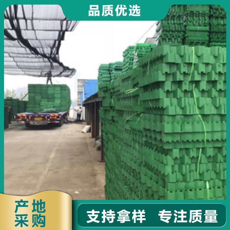 环保植草格_蓄排水板厂家多种工艺