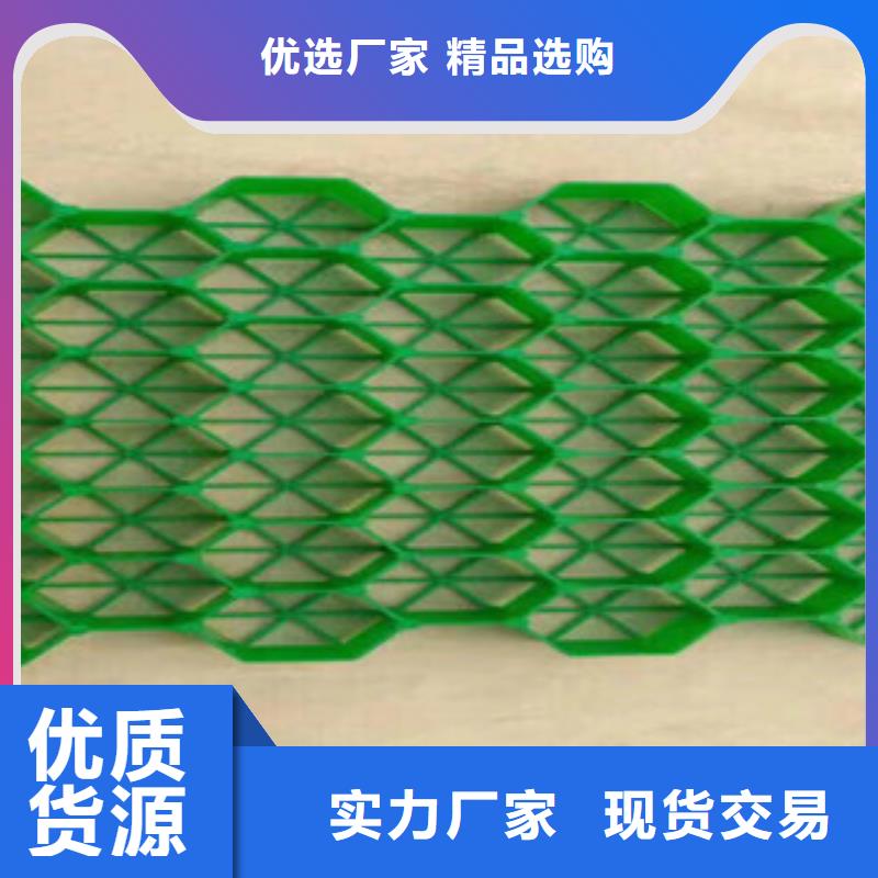 环保植草格_蓄排水板厂家多种工艺