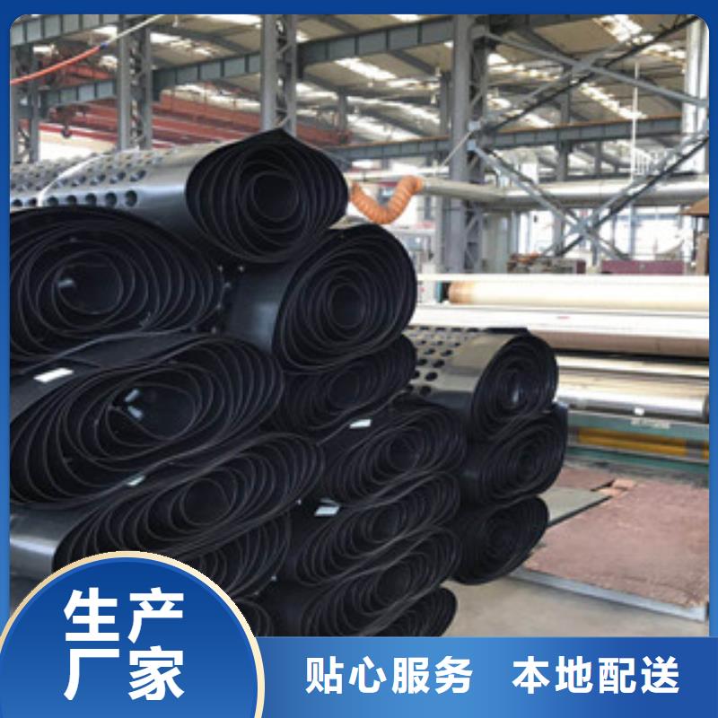 塑料排水板 蓄排水板厂家长期供应