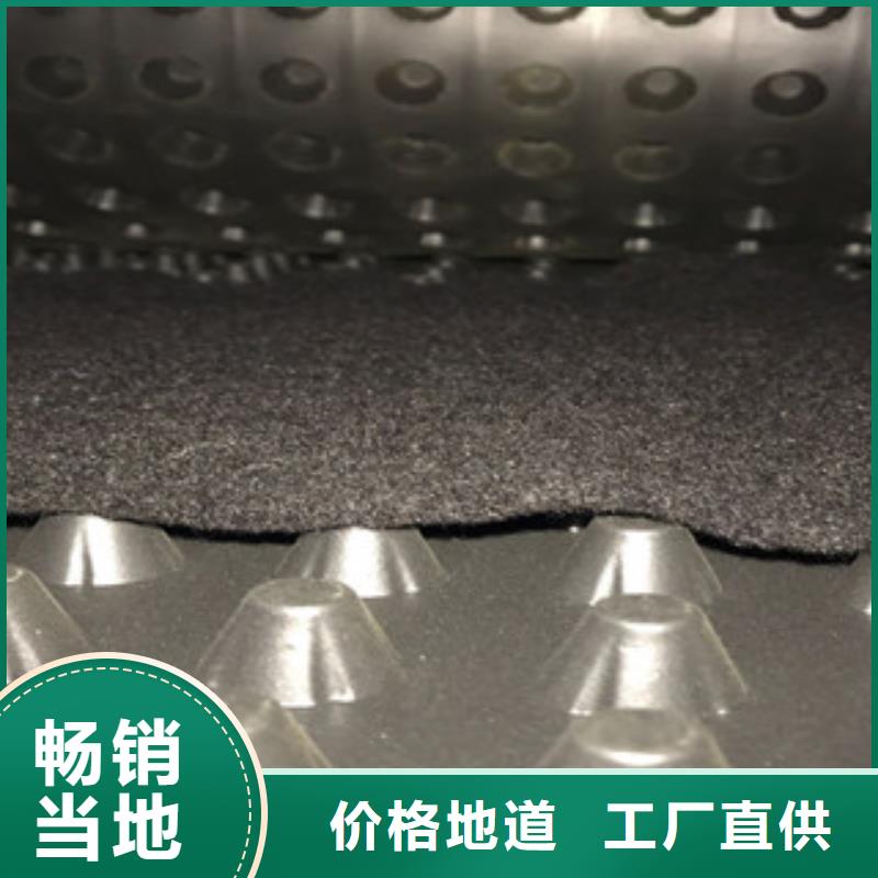 塑料排水板 蓄排水板厂家长期供应