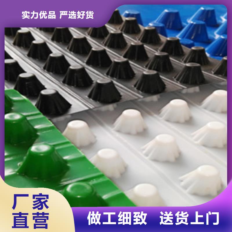 塑料排水板 蓄排水板厂家长期供应