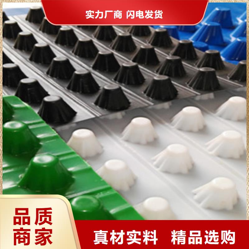 塑料排水板 蓄排水板厂家长期供应