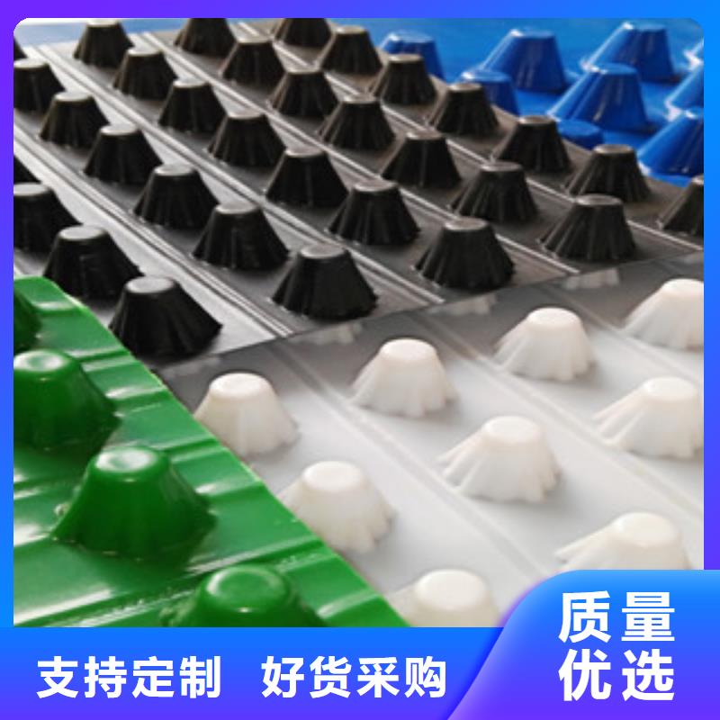 塑料排水板 蓄排水板厂家长期供应