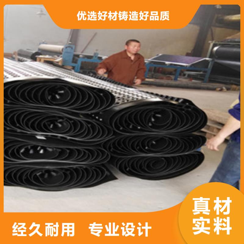 塑料排水板 蓄排水板厂家长期供应