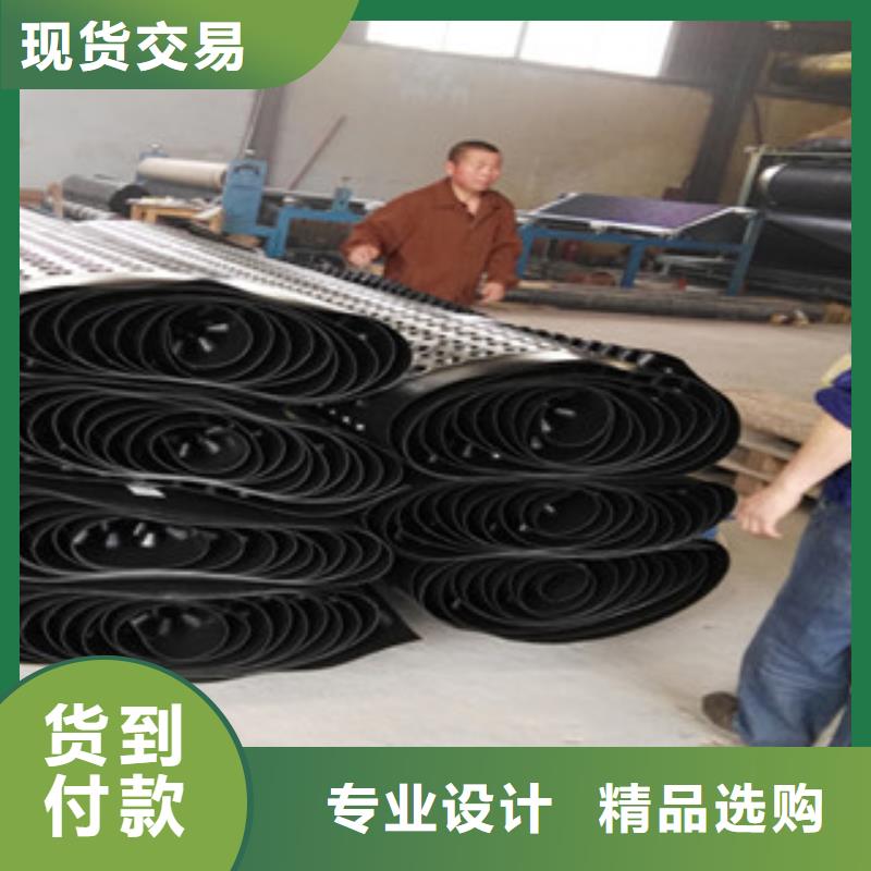 塑料排水板 蓄排水板厂家长期供应