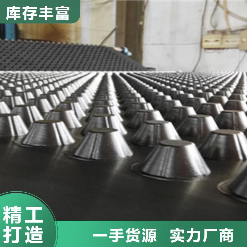 塑料排水板 蓄排水板厂家长期供应