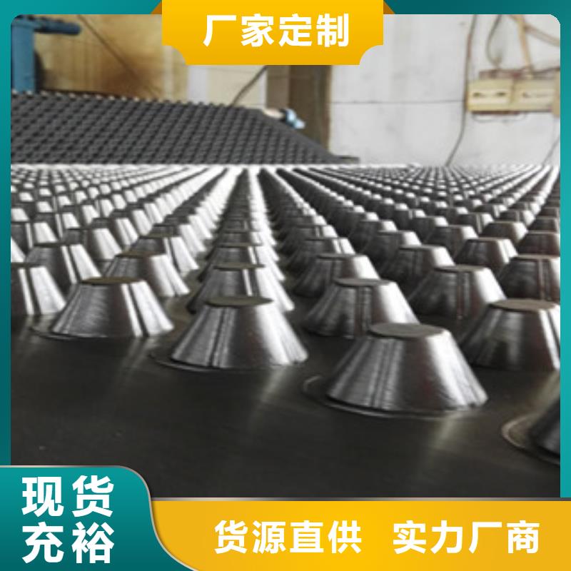 塑料排水板 蓄排水板厂家长期供应