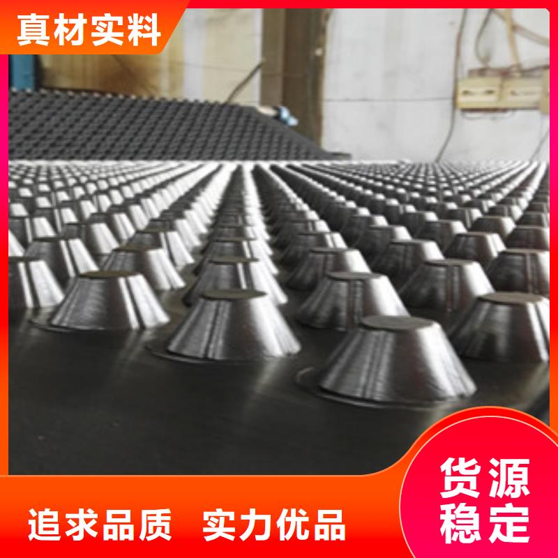 塑料排水板 蓄排水板厂家长期供应