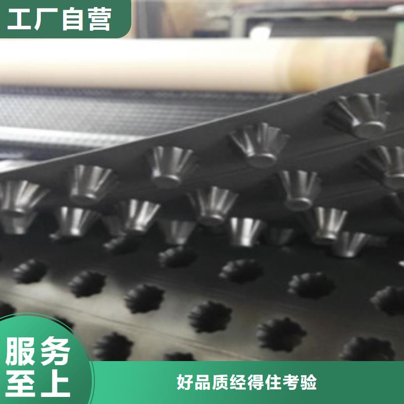 塑料排水板 蓄排水板厂家长期供应