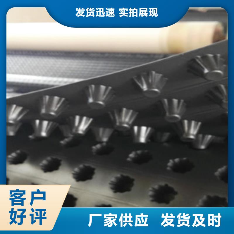 塑料排水板 蓄排水板厂家长期供应