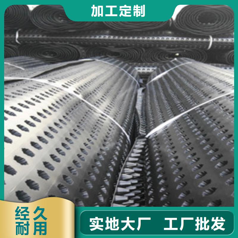 塑料排水板 蓄排水板厂家长期供应