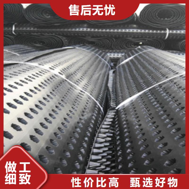 塑料排水板 蓄排水板厂家长期供应