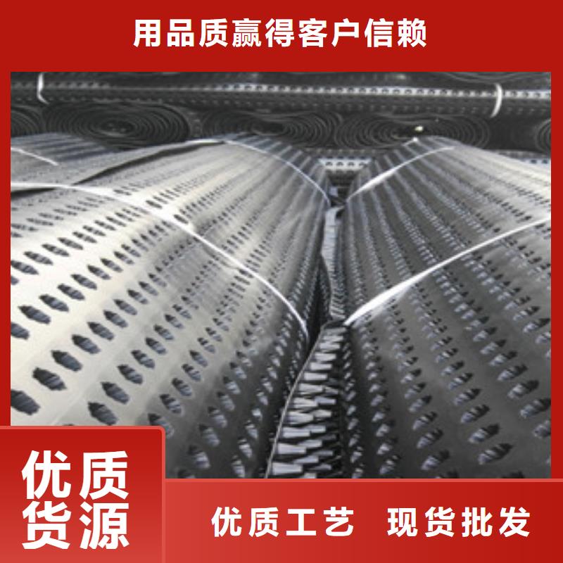 塑料排水板 蓄排水板厂家长期供应