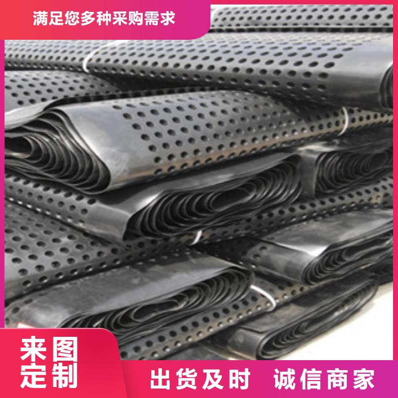 塑料排水板 蓄排水板厂家长期供应