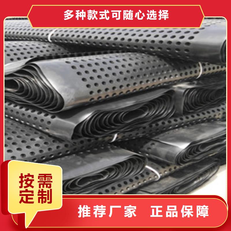 塑料排水板 蓄排水板厂家长期供应