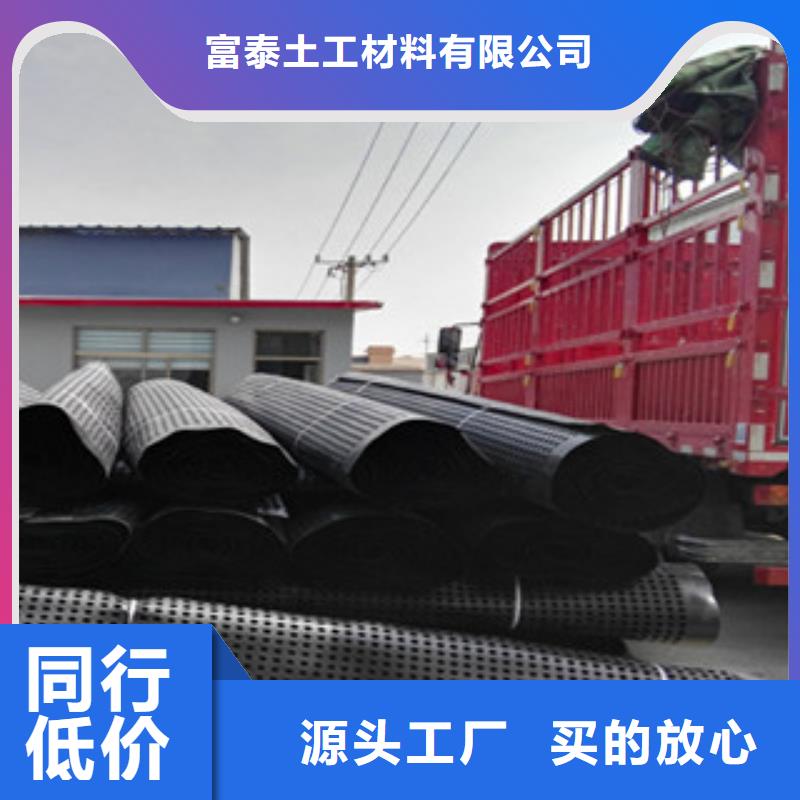 塑料排水板 蓄排水板厂家长期供应