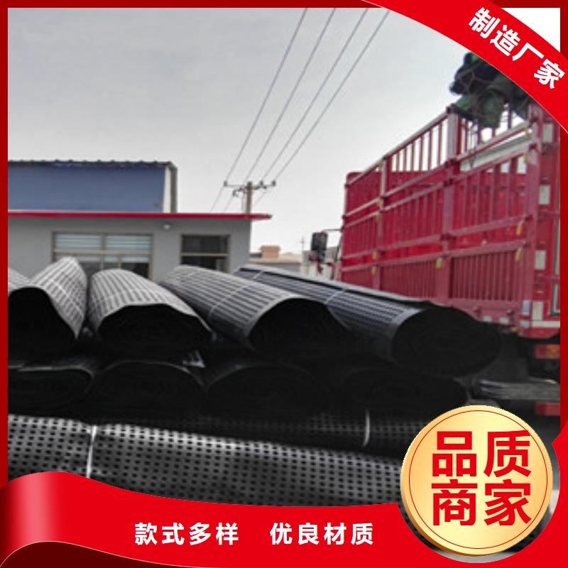 塑料排水板 蓄排水板厂家长期供应