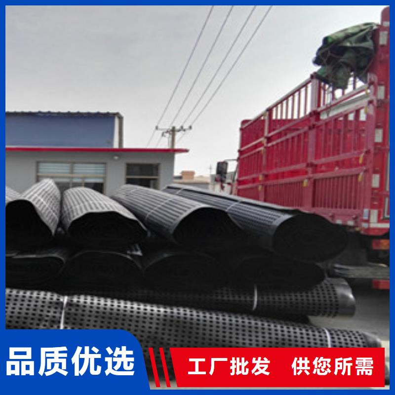 塑料排水板 蓄排水板厂家长期供应