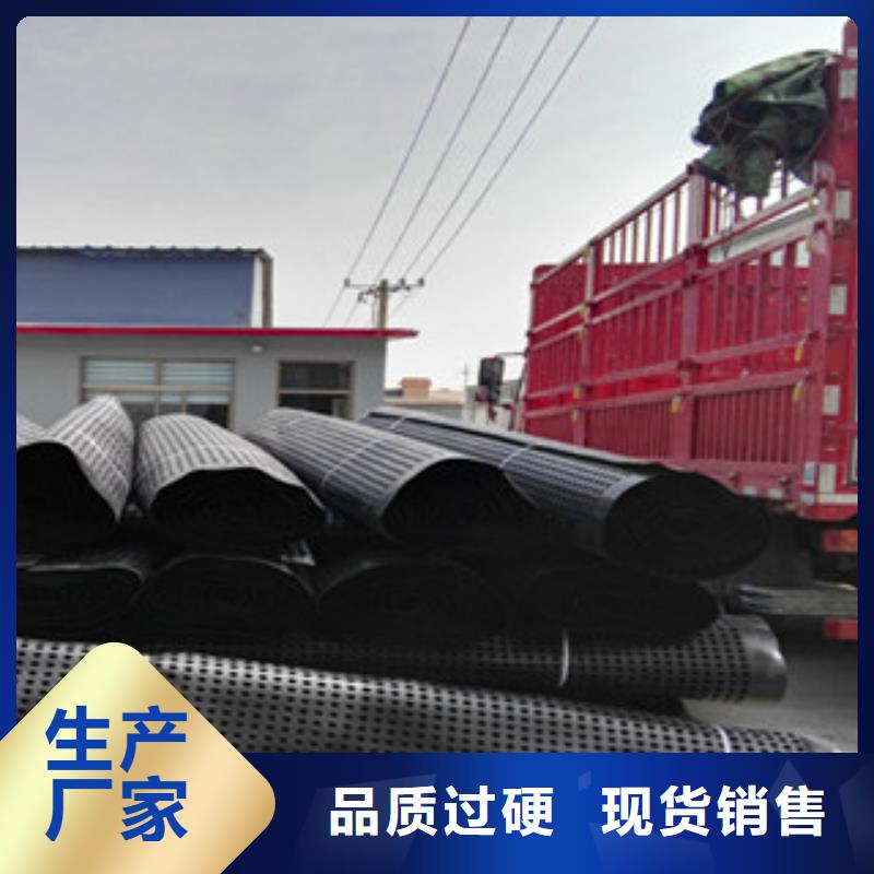 塑料排水板 蓄排水板厂家长期供应