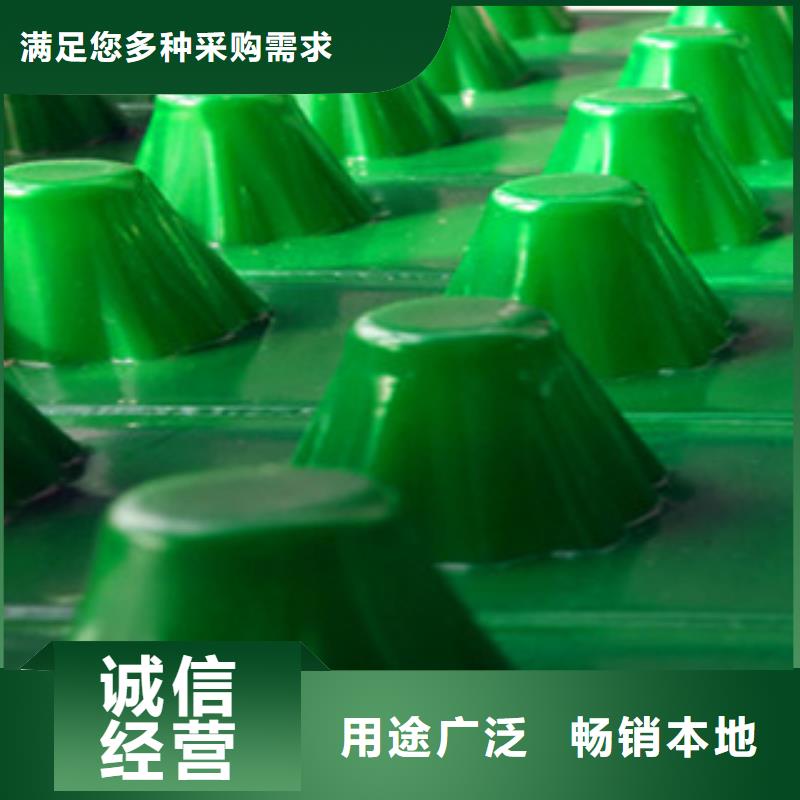 塑料排水板 蓄排水板厂家长期供应