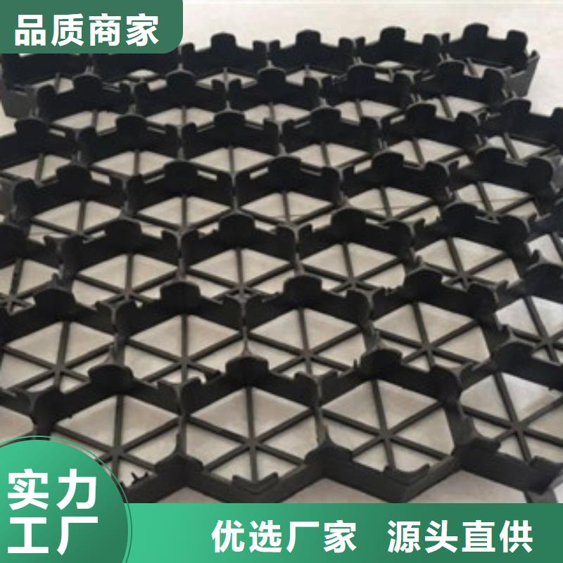 植草格土工布厂家N年大品牌