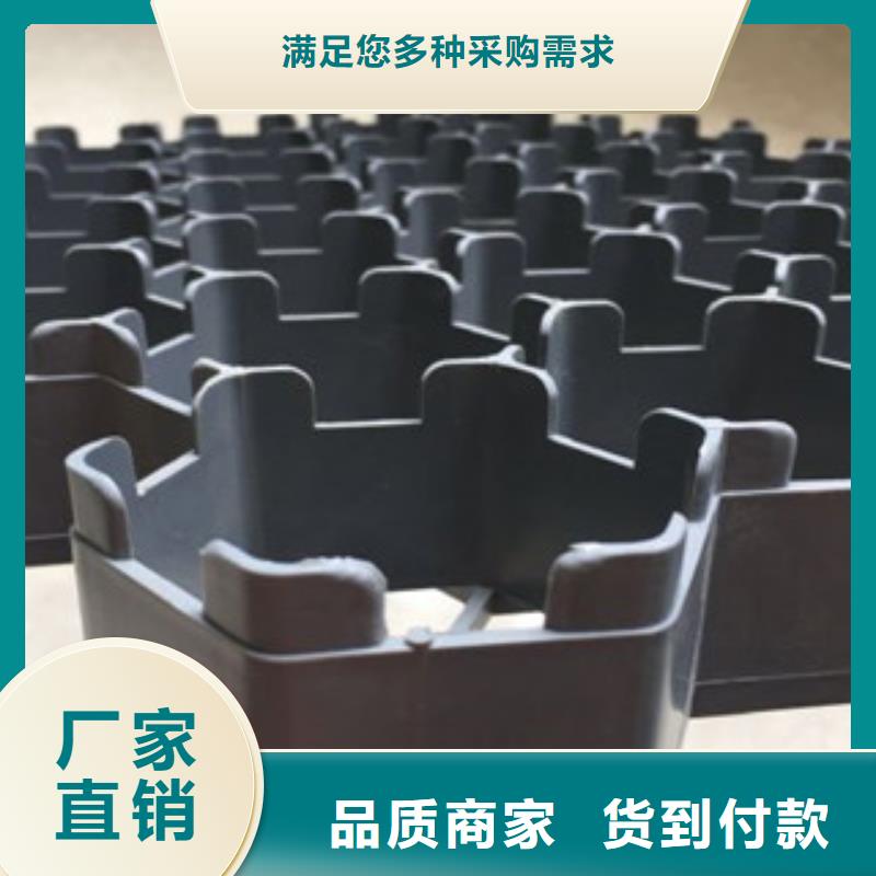 植草格土工布厂家N年大品牌