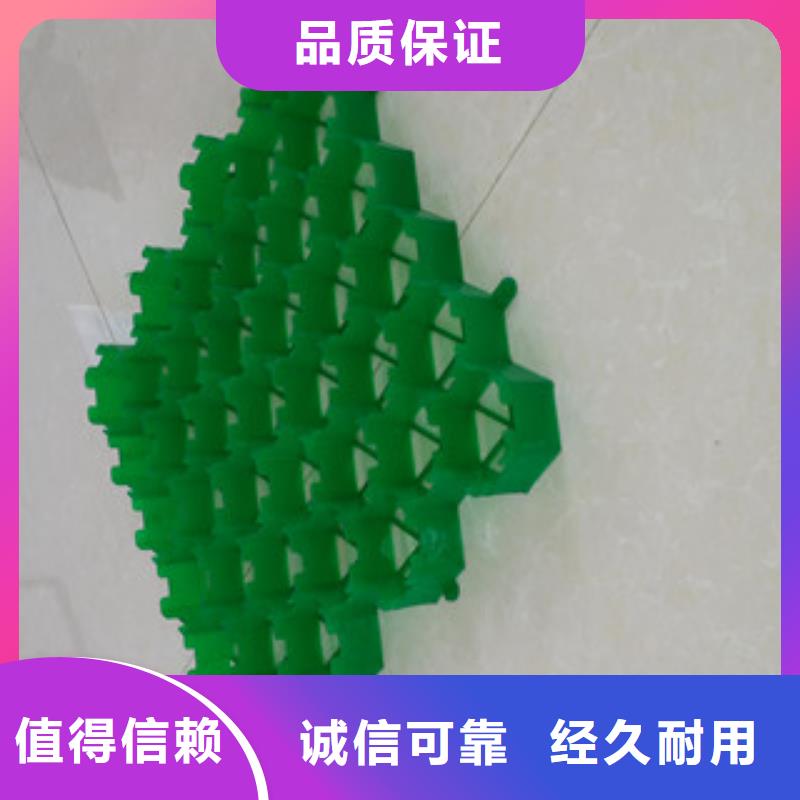 植草格土工布厂家N年大品牌