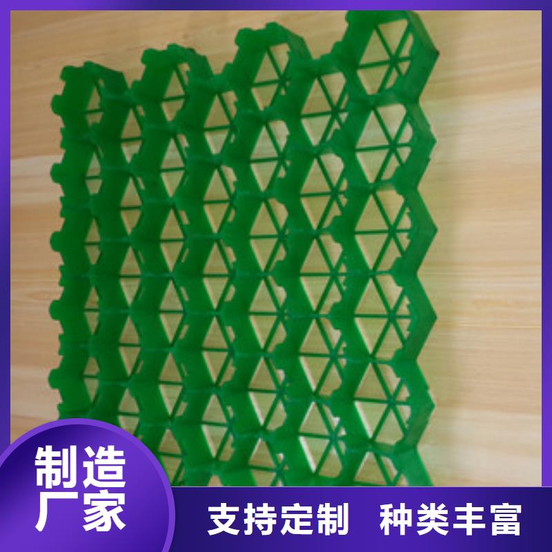 植草格土工布厂家N年大品牌