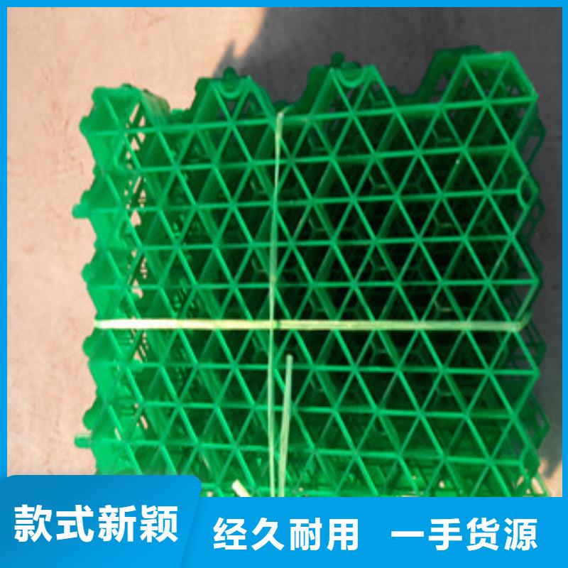 植草格土工布厂家N年大品牌