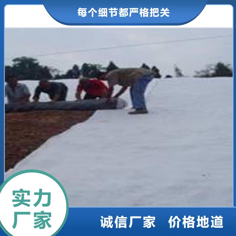防水毯土工膜厂家匠心工艺