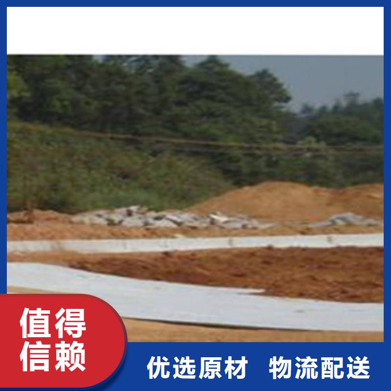 防水毯土工膜厂家匠心工艺