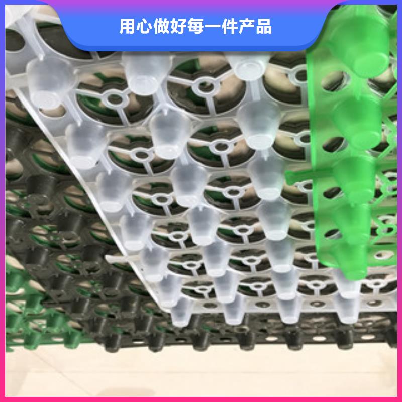 蓄排水板膨润土防水毯厂家厂家现货供应