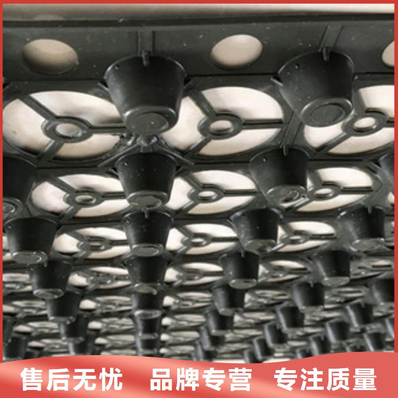 蓄排水板膨润土防水毯厂家厂家现货供应