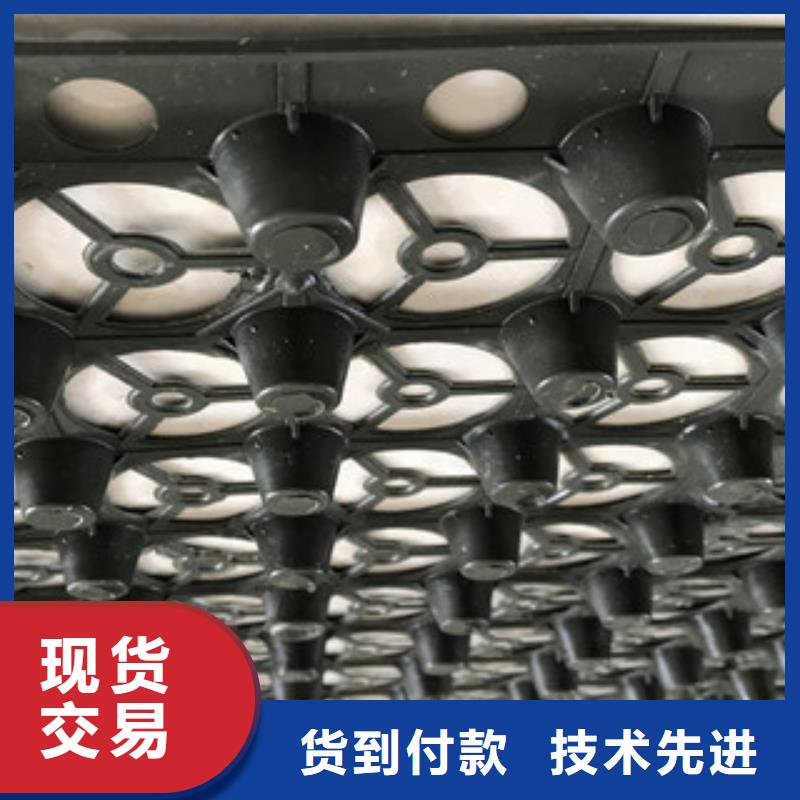 蓄排水板膨润土防水毯厂家厂家现货供应