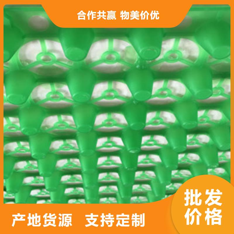 蓄排水板膨润土防水毯厂家厂家现货供应