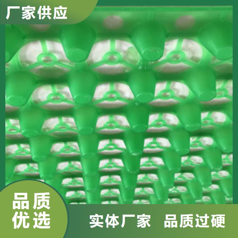 蓄排水板膨润土防水毯厂家厂家现货供应