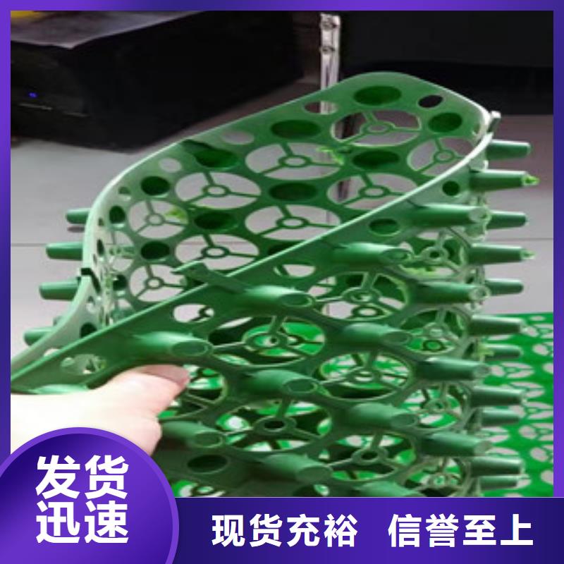 蓄排水板膨润土防水毯厂家厂家现货供应