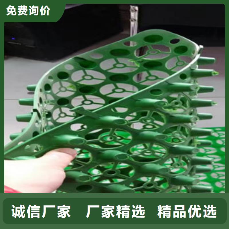 蓄排水板膨润土防水毯厂家厂家现货供应