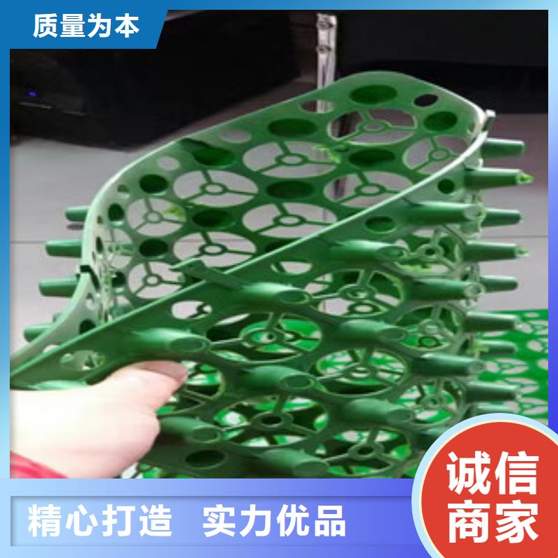 蓄排水板膨润土防水毯厂家厂家现货供应