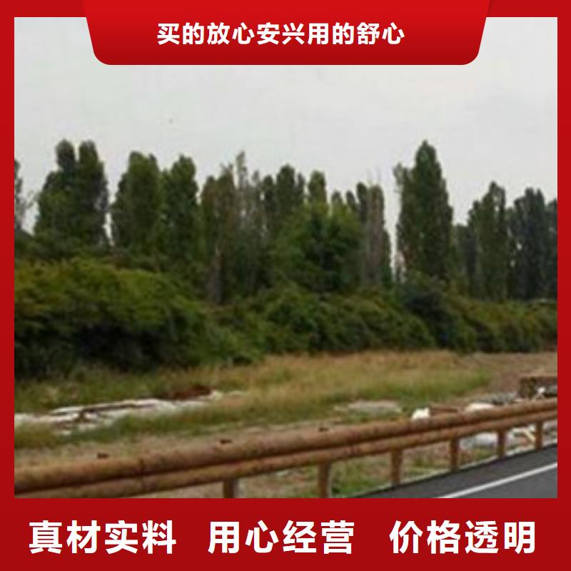 钢背木护栏桥梁护栏多年行业积累