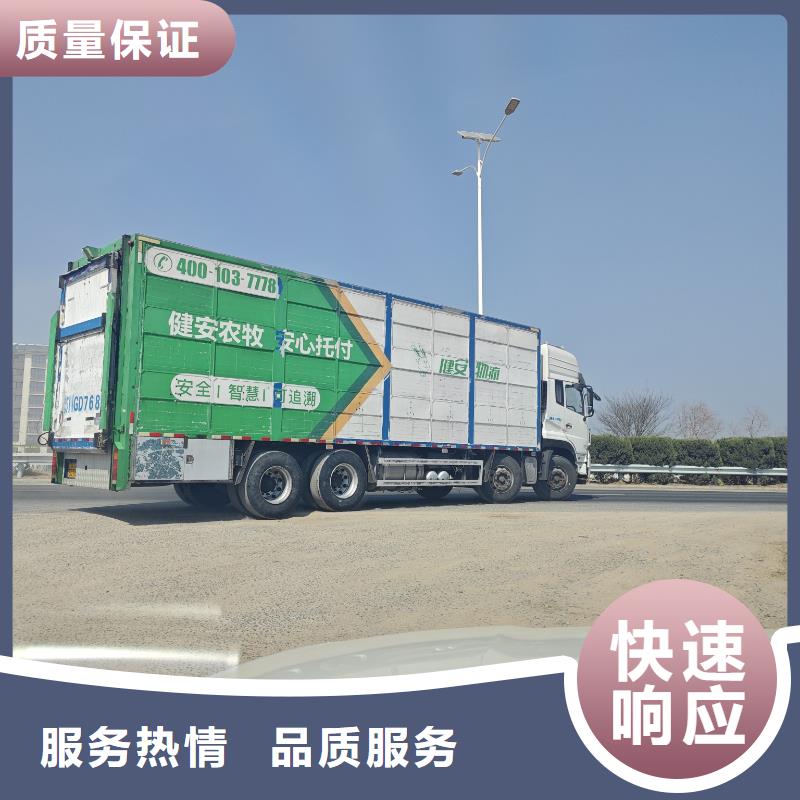 丽水到商洛洛南生猪运输专业团队