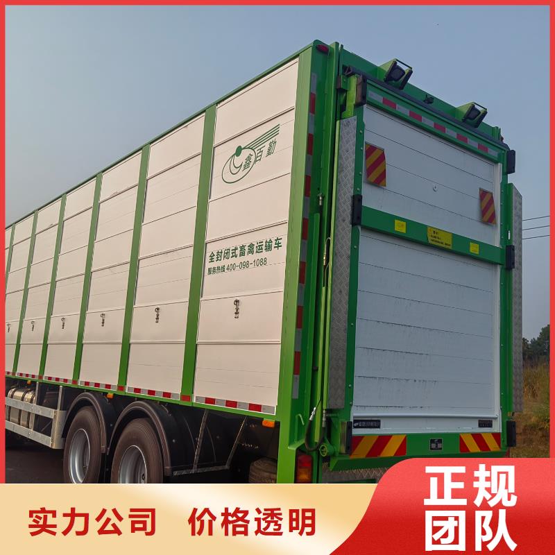 丽水到商洛洛南生猪运输专业团队