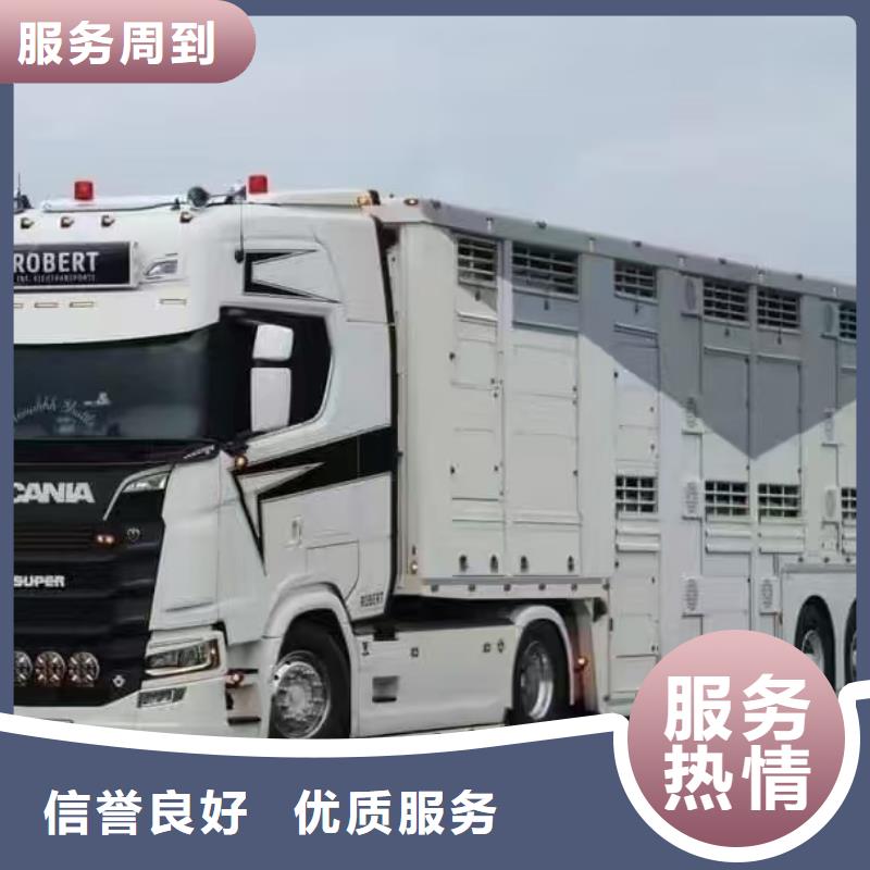 宿州到黔西南市安龙县恒温车仔猪运输靠谱商家