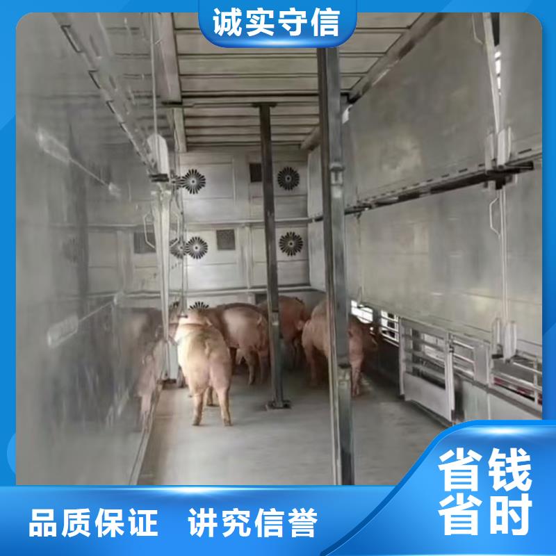 宿州到黔西南市安龙县恒温车仔猪运输靠谱商家